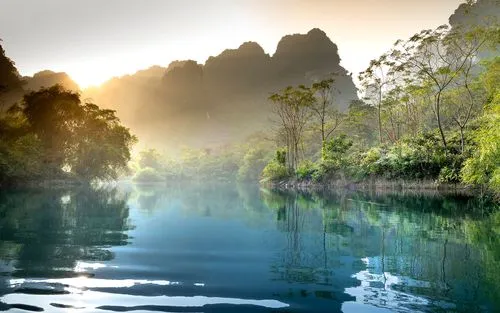 绿色高标准